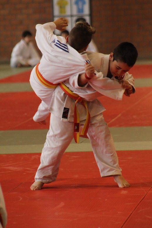 Clases de Judo